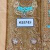 Ramsha Embroidered Collection Chiffon Replica - Image 4