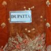 Shiza Hassan Bridal Dress Master Copy - Image 4