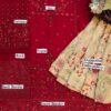 Afrozeh Latest Chiffon Dress Master Copy - Image 2