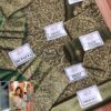 Maryam and Maria Latest Collection Replica - Image 2