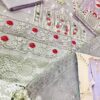 Agha Noor New Collection Organza Master Replica - Image 5