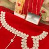 Agha Noor Red Suit Organza Master Replica - Image 3
