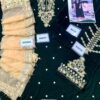 Aisha Imran New Velvet Dress Master Replica - Image 2