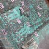Emaan Adeel Bridal Collection Net Master Replica - Image 3