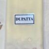 Ramsha A-206 Chiffon Master Replica - Image 4