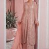 Rang e Haya Chiffon Collection Master Replica