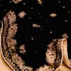 Velvet Embroidered Shawl Collection - Image 3