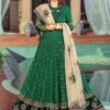 Maria B Green Chiffon Maxi Master Replica