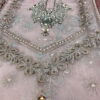 Agha Noor New Organza Collection Replica - Image 4