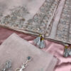 Agha Noor New Organza Collection Replica - Image 3