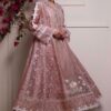 Annus Abrar Formal Organza Master Replica