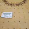 Maria B Double Shaded Saree Net Master Replica - Image 3