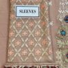 Ramsha Party Wear Chiffon Master Replica - Image 3