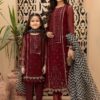 Maria B Embroidered Net  Collection Replica