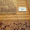 Maria B Double Shaded Saree Net Master Replica - Image 6