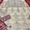 Akbar Aslam Organza Bridal Collection Replica - Image 4