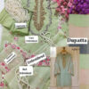 Agha Noor  Latest Organza Colleciton Replica - Image 2