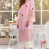 Annus Abrar Organza Master Replica