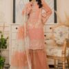 Maryam's Pink Chiffon Replica