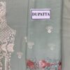 Ramsha D-805 Chiffon Master Replica - Image 7