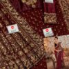 Noor by Saadia Net Saree Master Replica - Image 2