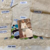 Maria B D-2307-B Cotton Replica