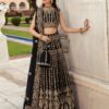 Kanwal Malik Chandni Net Replica