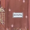 Ramsha Dusty Pink Chiffon Replica