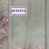 Ramsha D-1003 Chiffon Replica