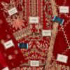Afrozeh Noor Jehan Net Replica - Image 2