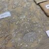 Flossie Moon Flower Chiffon Replica - Image 3