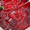 Maria b Red Net Bridal Replica - Image 2
