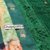 Bin ilyas Bottle Green Lawn Replica - Image 3