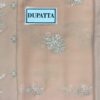 Meharposh Mirha Chiffon Replica - Image 4