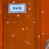 Gulaal Orange Semi Pure Chiffon Replica - Image 4
