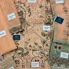Ramsha D901 Chiffon Master Replica - Image 2