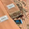 Ramsha D901 Chiffon Master Replica - Image 4