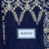 Ramsha D-1111 Chiffon Replica - Image 7