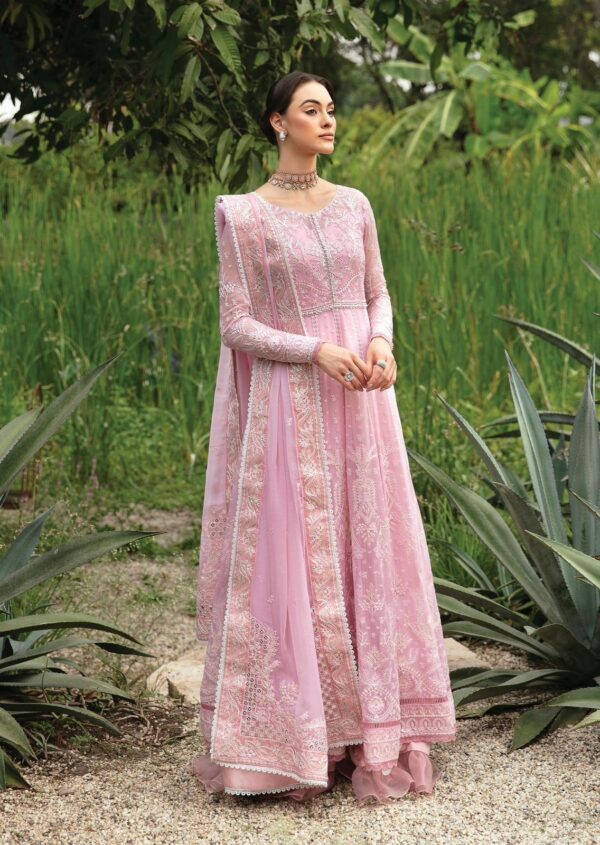 Gulaal Pink Semi Pure Chiffon Replica