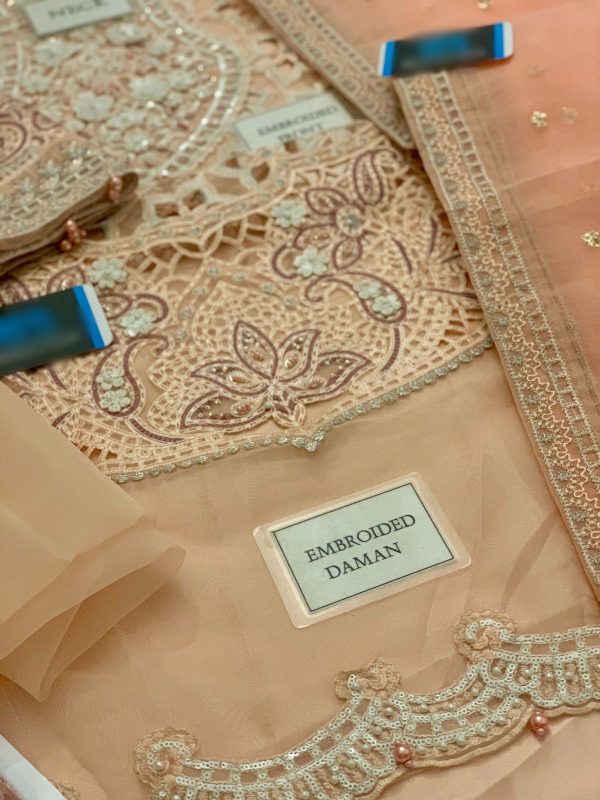 Maria b EL-24-06 Organza Replica - Image 3