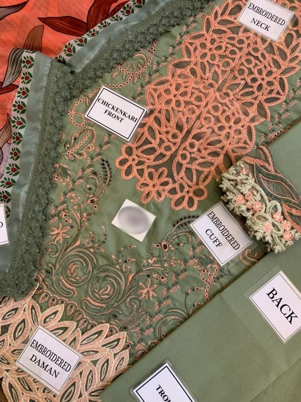 Rang Rasia Orchid Lawn Replica - Image 4