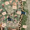 Asifa And Nabeel Arabella Lawn Replica - Image 2