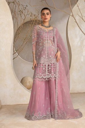 Rang Rasia Natasha Organza Replica